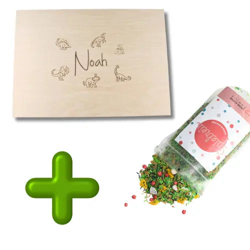 Holz-Spielwanne + 1 kg Dino Mix – SET-Rabatt