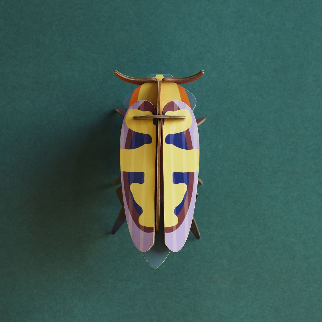 Mango Flower Beetle von Studio ROOF