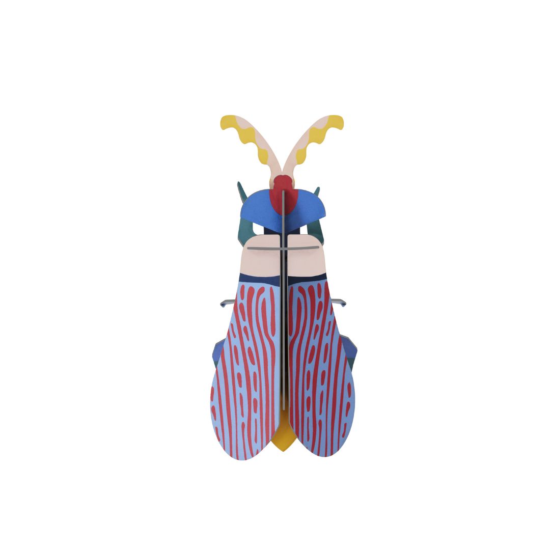 Striped Wing Beetle von Studio ROOF