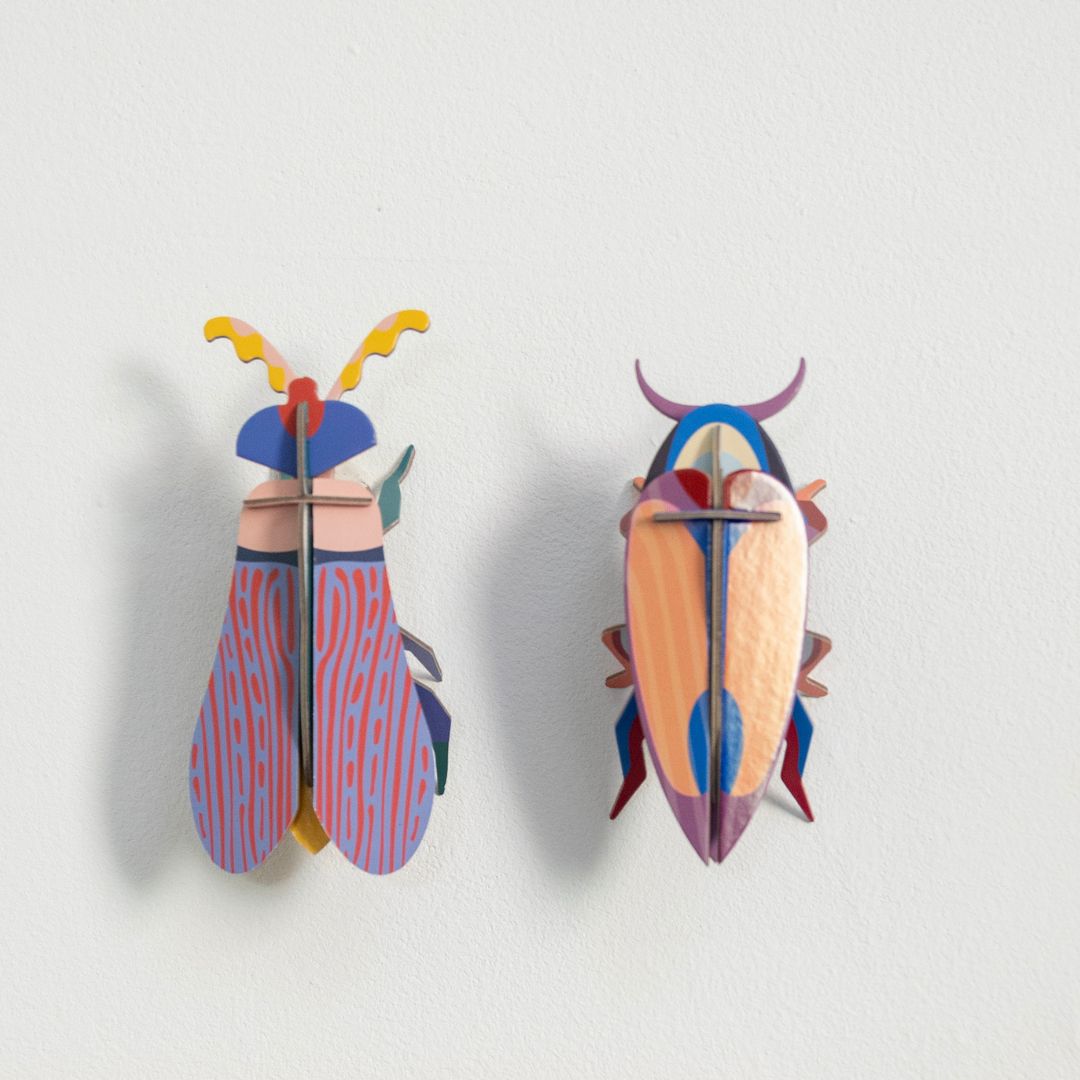 Violet Click Beetle von Studio ROOF