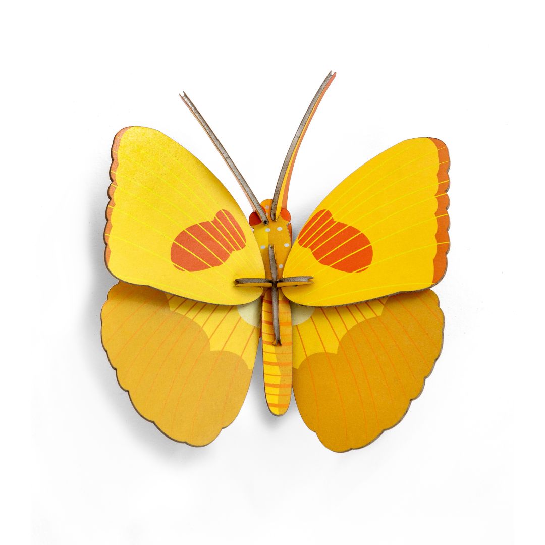 Gold Rim Butterfly von Studio ROOF
