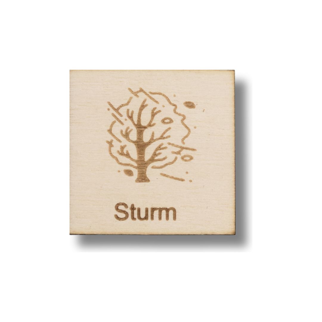 Piktogramm Sturm