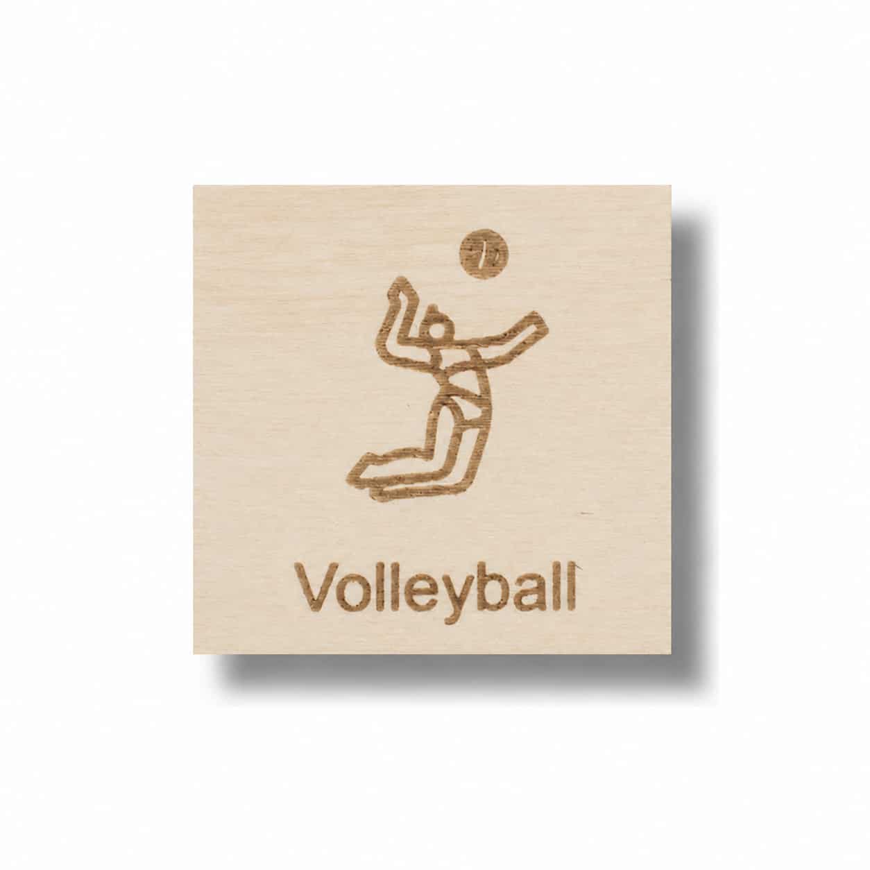 Piktogramm Volleyball