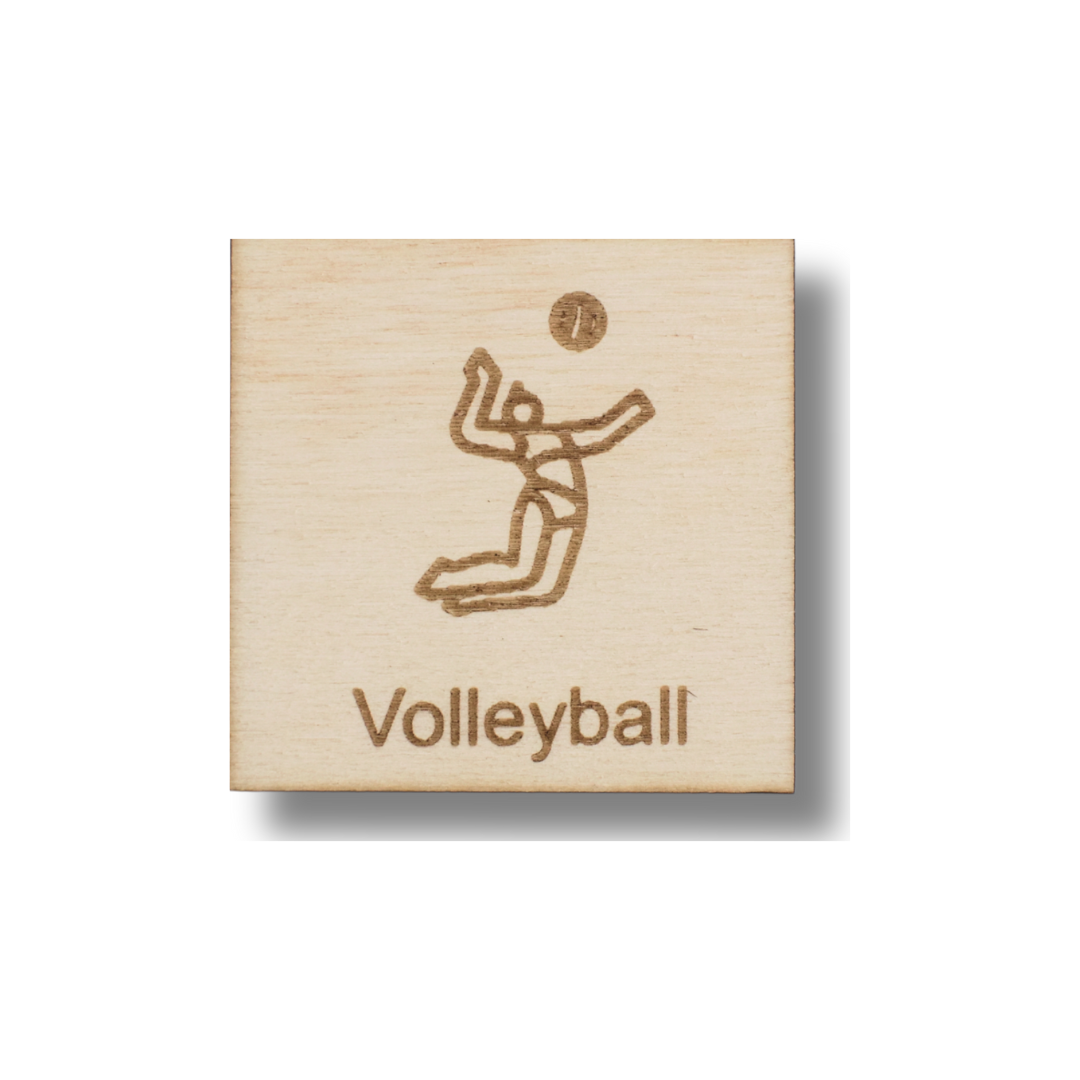 Piktogramm Volleyball