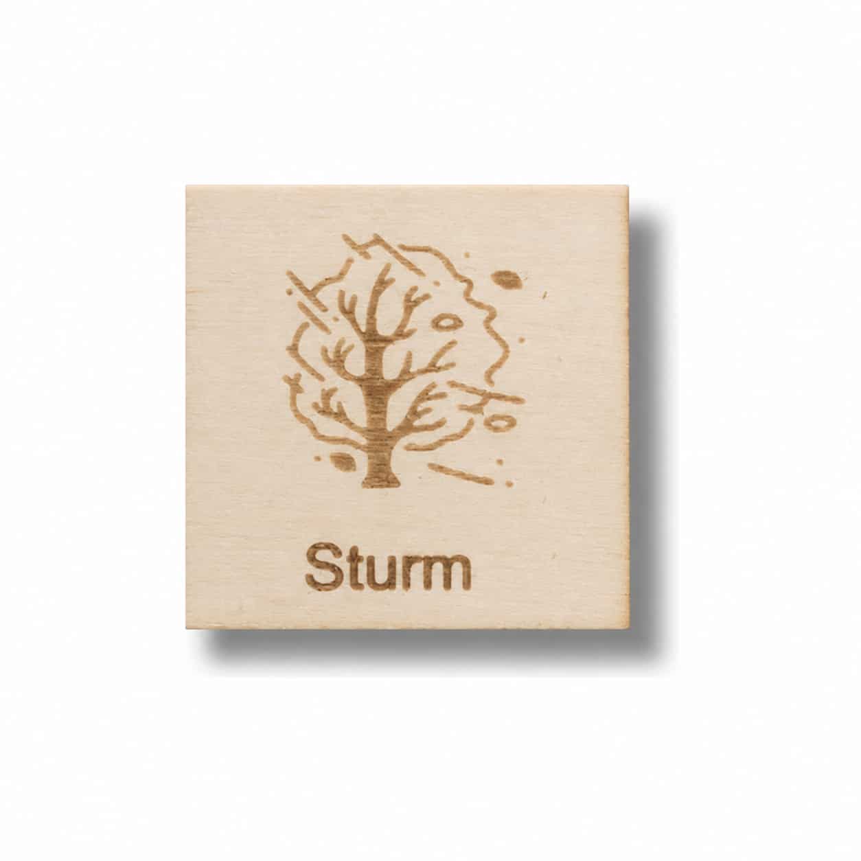 Piktogramm Sturm